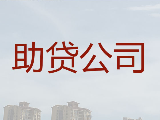 景洪市抵押贷款公司-银行信用贷款